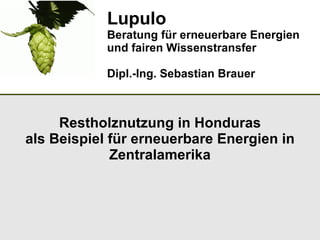 Lupulo
            Beratung für erneuerbare Energien
            und fairen Wissenstransfer

            Dipl.-Ing. Sebastian Brauer



     Restholznutzung in Honduras
als Beispiel für erneuerbare Energien in
             Zentralamerika
 