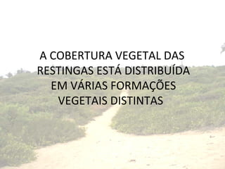 A COBERTURA VEGETAL DAS  RESTINGAS ESTÁ DISTRIBUÍDA EM VÁRIAS FORMAÇÕES VEGETAIS DISTINTAS  
