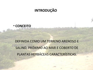 INTRODUÇÃO CONCEITO DEFINIDA COMO UM TERRENO ARENOSO E SALINO, PRÓXIMO AO MAR E COBERTO DE PLANTAS HERBÁCEAS CARACTERÍSTICAS. 