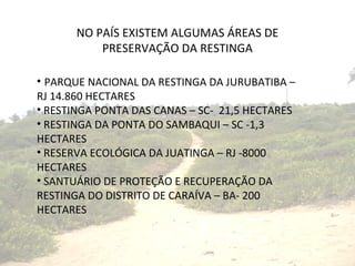 PARQUE NACIONAL DA RESTINGA DA JURUBATIBA – RJ 14.860 HECTARES RESTINGA PONTA DAS CANAS – SC-  21,5 HECTARES RESTINGA DA PONTA DO SAMBAQUI – SC -1,3 HECTARES RESERVA ECOLÓGICA DA JUATINGA – RJ -8000 HECTARES SANTUÁRIO DE PROTEÇÃO E RECUPERAÇÃO DA RESTINGA DO DISTRITO DE CARAÍVA – BA- 200 HECTARES NO PAÍS EXISTEM ALGUMAS ÁREAS DE PRESERVAÇÃO DA RESTINGA 