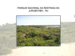 PARQUE NACIONAL DA RESTINGA DA JURUBATIBA – RJ 