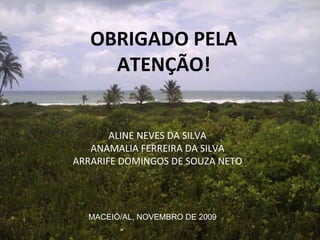OBRIGADO PELA ATENÇÃO! ALINE NEVES DA SILVA ANAMALIA FERREIRA DA SILVA ARRARIFE DOMINGOS DE SOUZA NETO MACEIÓ/AL, NOVEMBRO DE 2009 