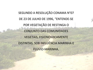 SEGUNDO A RESOLUÇÃO CONAMA N°07 DE 23 DE JULHO DE 1996, “ENTENDE-SE POR VEGETAÇÃO DE RESTINGA O CONJUNTO DAS COMUNIDADES VEGETAIS, FISIONOMICAMENTE DISTINTAS, SOB INFLUÊNCIA MARINHA E FLUVIO-MARINHA. 