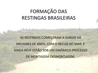 FORMAÇÃO DAS RESTINGAS BRASILEIRAS AS RESTINGAS COMEÇARAM A SURGIR HÁ MILHARES DE ANOS, COM O RECUO DO MAR, E AINDA HOJE ESTÃO SOB UM DINÂMICO PROCESSO DE MONTAGEM-DESMONTAGEM. 