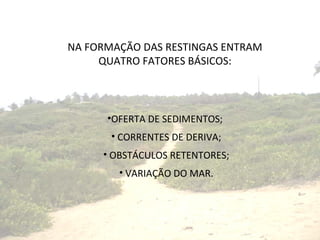 NA FORMAÇÃO DAS RESTINGAS ENTRAM QUATRO FATORES BÁSICOS: OFERTA DE SEDIMENTOS;  CORRENTES DE DERIVA; OBSTÁCULOS RETENTORES; VARIAÇÃO DO MAR. 