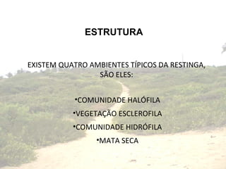 ESTRUTURA EXISTEM QUATRO AMBIENTES TÍPICOS DA RESTINGA, SÃO ELES: COMUNIDADE HALÓFILA VEGETAÇÃO ESCLEROFILA COMUNIDADE HIDRÓFILA MATA SECA 