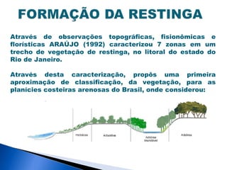 Através de observações topográficas, fisionômicas e
florísticas ARAÚJO (1992) caracterizou 7 zonas em um
trecho de vegetação de restinga, no litoral do estado do
Rio de Janeiro.

Através desta caracterização, propôs uma primeira
aproximação de classificação, da vegetação, para as
planícies costeiras arenosas do Brasil, onde considerou:
 