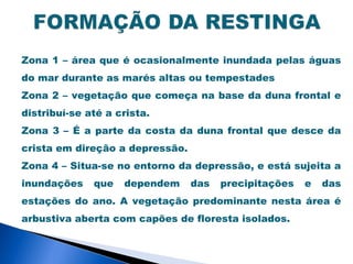 Zona 1 – área que é ocasionalmente inundada pelas águas
do mar durante as marés altas ou tempestades
Zona 2 – vegetação que começa na base da duna frontal e
distribuí-se até a crista.
Zona 3 – É a parte da costa da duna frontal que desce da
crista em direção a depressão.
Zona 4 – Situa-se no entorno da depressão, e está sujeita a
inundações    que   dependem     das   precipitações   e   das
estações do ano. A vegetação predominante nesta área é
arbustiva aberta com capões de floresta isolados.
 
