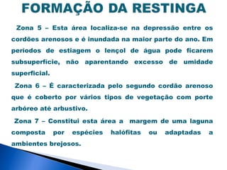 Zona 5 – Esta área localiza-se na depressão entre os
cordões arenosos e é inundada na maior parte do ano. Em
períodos de estiagem o lençol de água pode ficarem
subsuperfície, não aparentando excesso de umidade
superficial.

 Zona 6 – É caracterizada pelo segundo cordão arenoso
que é coberto por vários tipos de vegetação com porte
arbóreo até arbustivo.

Zona 7 – Constitui esta área a margem de uma laguna
composta       por   espécies   halófitas   ou   adaptadas   a
ambientes brejosos.
 