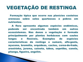 Formação típica que ocorre nas planícies costeiras
arenosas sobre solos quartzosos e pobres em
nutrientes.
   A flora apresenta algumas espécies endêmicas,
podendo      ser    encontrada  também    em   outros
ecossistemas. Nas dunas a vegetação é formada
principalmente por plantas herbáceas com caules
longos     e     flexíveis.  Exemplos  de    espécies
características da restinga o sumaré, alfa-goela,
açucena, bromélia, orquídeas, cactos, coroa-de-frade,
aroeirinha, jurema, caixeta, taboa, sepetiba, canela,
pitanga, figueira, angelim.
 