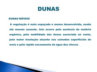 DUNAS MÓVEIS

A vegetação é mais espaçada e menos desenvolvida, sendo

até mesmo ausente. Isto ocorre pela ausência de matéria

orgânica, pela mobilidade das dunas associada ao vento,

pela maior insolação atuante nas camadas superficiais de

areia e pelo rápido escoamento da água das chuvas
 