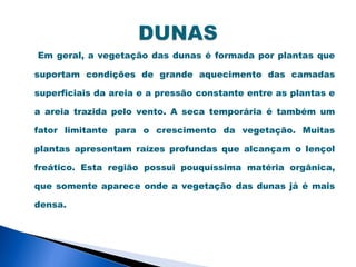 Em geral, a vegetação das dunas é formada por plantas que

suportam condições de grande aquecimento das camadas

superficiais da areia e a pressão constante entre as plantas e

a areia trazida pelo vento. A seca temporária é também um

fator limitante para o crescimento da vegetação. Muitas

plantas apresentam raízes profundas que alcançam o lençol

freático. Esta região possui pouquíssima matéria orgânica,

que somente aparece onde a vegetação das dunas já é mais

densa.
 