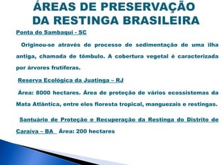 Ponta do Sambaqui - SC

 Originou-se através de processo de sedimentação de uma ilha

antiga, chamada de tômbulo. A cobertura vegetal é caracterizada

por árvores frutíferas.

Reserva Ecológica da Juatinga – RJ

Área: 8000 hectares. Área de proteção de vários ecossistemas da

Mata Atlântica, entre eles floresta tropical, manguezais e restingas.

 Santuário de Proteção e Recuperação da Restinga do Distrito de

Caraíva – BA   Área: 200 hectares
 