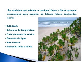 As   espécies que habitam a restinga (fauna e flora) possuem
  mecanismos para suportar os fatores físicos dominantes
  como:



- Salinidade

- Extremos de temperatura

- Forte presença de ventos

- Escassez de água

- Solo instável

- Insolação forte e direta
 
