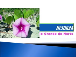 Rio Gr ande do Nor te
 