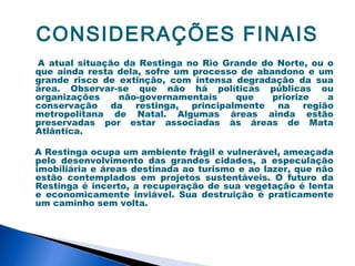 CONSIDERAÇÕES FINAIS
A atual situação da Restinga no Rio Grande do Norte, ou o
que ainda resta dela, sofre um processo de abandono e um
grande risco de extinção, com intensa degradação da sua
área. Observar-se que não há políticas públicas ou
organizações    não-governamentais     que    priorize  a
conservação da restinga, principalmente na região
metropolitana de Natal. Algumas áreas ainda estão
preservadas por estar associadas às áreas de Mata
Atlântica.

A Restinga ocupa um ambiente frágil e vulnerável, ameaçada
pelo desenvolvimento das grandes cidades, a especulação
imobiliária e áreas destinada ao turismo e ao lazer, que não
estão contemplados em projetos sustentáveis. O futuro da
Restinga é incerto, a recuperação de sua vegetação é lenta
e economicamente inviável. Sua destruição é praticamente
um caminho sem volta.
 
