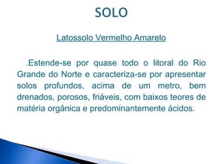 Latossolo Vermelho Amarelo

  .Estende-se por quase todo o litoral do Rio
Grande do Norte e caracteriza-se por apresentar
solos profundos, acima de um metro, bem
drenados, porosos, friáveis, com baixos teores de
matéria orgânica e predominantemente ácidos.
 