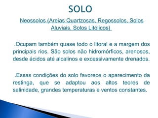 Neossolos (Areias Quartzosas, Regossolos, Solos
             Aluviais, Solos Litólicos)

.Ocupam também quase todo o litoral e a margem dos
principais rios. São solos não hidromórficos, arenosos,
desde ácidos até alcalinos e excessivamente drenados.

 .Essas condições do solo favorece o aparecimento da
restinga, que se adaptou aos altos teores de
salinidade, grandes temperaturas e ventos constantes.
 
