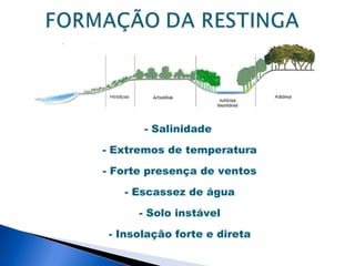 - Salinidade

- Extremos de temperatura

- Forte presença de ventos

   - Escassez de água

      - Solo instável

 - Insolação forte e direta
 