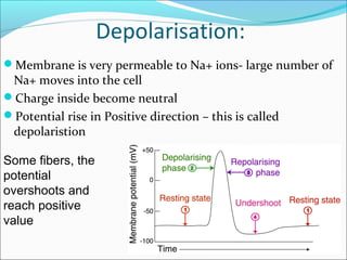 Depolarisation:
Membrane is very permeable to Na+ ions- large number of
Na+ moves into the cell
Charge inside become neutral
Potential rise in Positive direction – this is called
depolaristion
Some fibers, the
potential
overshoots and
reach positive
value
 