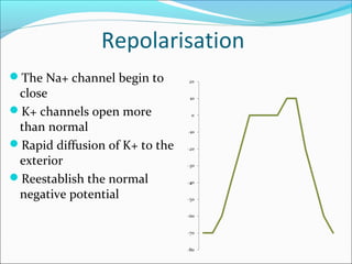 Repolarisation
The Na+ channel begin to
close
K+ channels open more
than normal
Rapid diffusion of K+ to the
exterior
Reestablish the normal
negative potential
 
