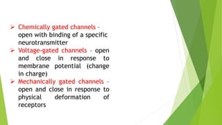  Chemically gated channels –
open with binding of a specific
neurotransmitter
 Voltage-gated channels – open
and close in response to
membrane potential (change
in charge)
 Mechanically gated channels –
open and close in response to
physical deformation of
receptors
 