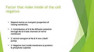 Factor that make inside of the cell
negative
• Depend mainly on transport properties of
resting membrane,
• 1- Contribution of K & Na diffusion potential
through Na & K leak channels of nerve
membrane
• 2- Active transport of Na & K ions ( Na/K
pump)
• 3- Negative ions inside membrane as proteins
& phosphate sulphate
 