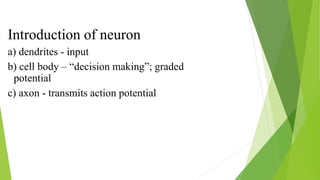 Introduction of neuron
a) dendrites - input
b) cell body – “decision making”; graded
potential
c) axon - transmits action potential
 