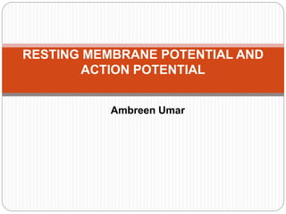 Ambreen Umar
RESTING MEMBRANE POTENTIAL AND
ACTION POTENTIAL
 