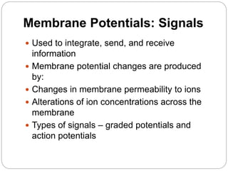 Membrane Potentials: Signals
 Used to integrate, send, and receive
information
 Membrane potential changes are produced
by:
 Changes in membrane permeability to ions
 Alterations of ion concentrations across the
membrane
 Types of signals – graded potentials and
action potentials
 