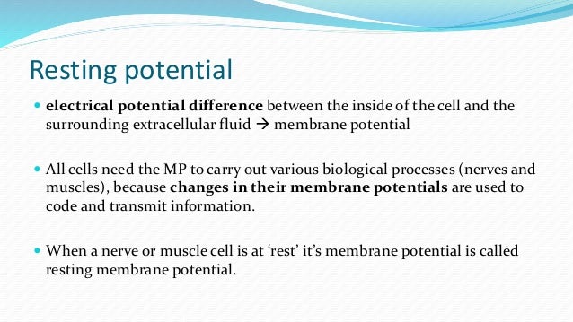 resting potential