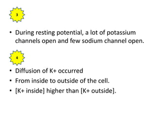 • During resting potential, a lot of potassium
channels open and few sodium channel open.
• Diffusion of K+ occurred
• From inside to outside of the cell.
• [K+ inside] higher than [K+ outside].
3
4
 