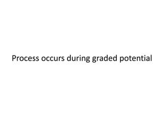 Process occurs during graded potential
 