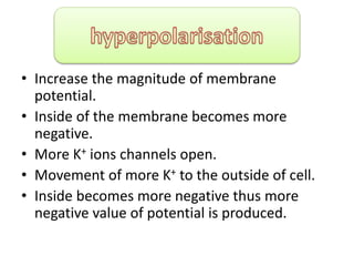 • Increase the magnitude of membrane
potential.
• Inside of the membrane becomes more
negative.
• More K+ ions channels open.
• Movement of more K+ to the outside of cell.
• Inside becomes more negative thus more
negative value of potential is produced.
 