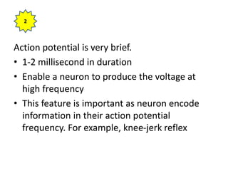 Action potential is very brief.
• 1-2 millisecond in duration
• Enable a neuron to produce the voltage at
high frequency
• This feature is important as neuron encode
information in their action potential
frequency. For example, knee-jerk reflex
2
 