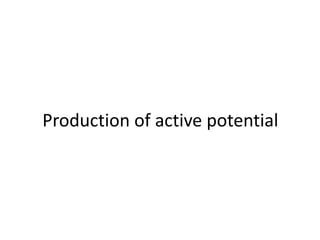 Production of active potential
 