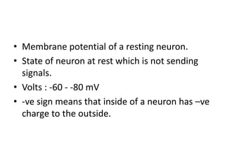• Membrane potential of a resting neuron.
• State of neuron at rest which is not sending
signals.
• Volts : -60 - -80 mV
• -ve sign means that inside of a neuron has –ve
charge to the outside.
 