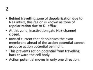 2
• Behind travelling zone of depolarization due to
Na+ influx, this region is known as zone of
repolarization due to K+ efflux.
• At this zone, inactivation gate Na+ channel
closed.
• Inward current that depolarises the axon
membrane ahead of the action potential cannot
produce action potential behind it.
• This prevents action potential from travelling
back toward the cell body.
• Action potential moves in only one direction.
 