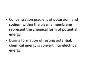 • Concentration gradient of potassium and
sodium within the plasma membrane
represent the chemical form of potential
energy.
• During formation of resting potential,
chemical energy is convert into electrical
energy.
 