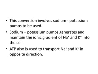 • This conversion involves sodium - potassium
pumps to be used.
• Sodium – potassium pumps generates and
maintain the ionic gradient of Na+ and K+ into
the cell.
• ATP also is used to transport Na+ and K+ in
opposite direction.
 