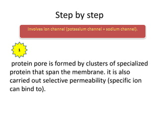 Step by step
protein pore is formed by clusters of specialized
protein that span the membrane. it is also
carried out selective permeability (specific ion
can bind to).
1
 