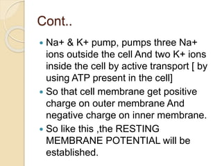 Cont..
 Na+ & K+ pump, pumps three Na+
ions outside the cell And two K+ ions
inside the cell by active transport [ by
using ATP present in the cell]
 So that cell membrane get positive
charge on outer membrane And
negative charge on inner membrane.
 So like this ,the RESTING
MEMBRANE POTENTIAL will be
established.
 