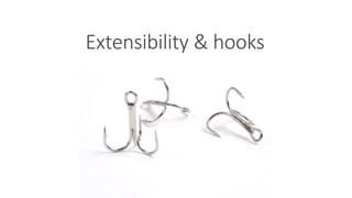 Extensibility & hooks
 