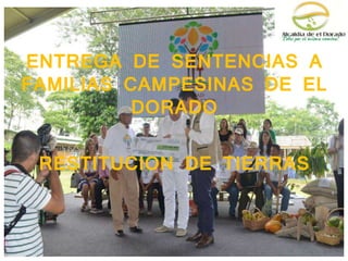 ENTREGA DE SENTENCIAS A
FAMILIAS CAMPESINAS DE EL
DORADO
RESTITUCION DE TIERRAS
 