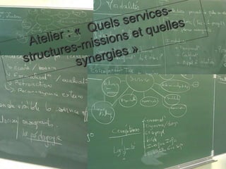 Atelier : «  Quels services-structures-missions et quelles synergies »