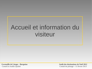 Accueil et information du 
                   visiteur



Gwenaëlle de Linage – Burguion   Audit des destinations de Noël 2012
Conseil et Audits Qualité        Comité de pilotage – 11 février 2013
 