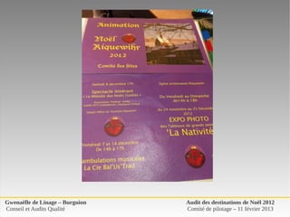Gwenaëlle de Linage – Burguion   Audit des destinations de Noël 2012
Conseil et Audits Qualité        Comité de pilotage – 11 février 2013
 
