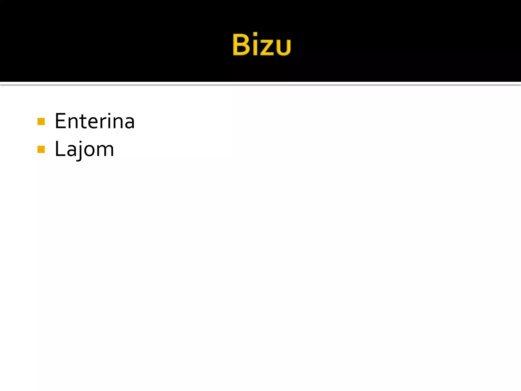 BizuEnterinaLajom