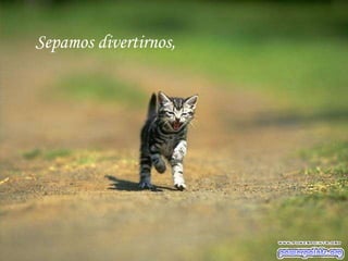 Sepamos divertirnos,