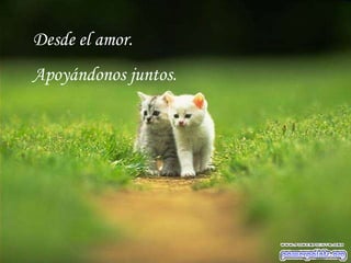 Desde el amor.Apoyándonos juntos.